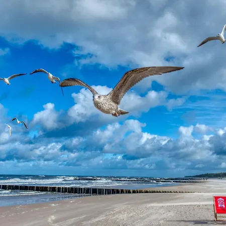 306 Z Widokiem Na Morze, Z Basenem, Sauna, Jacuzzi, Przy Samej Plazy - 5d نيخوجة